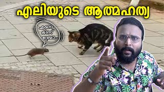 പൂച്ചയെ പ്രേമിപ്പിക്കുന്ന പാരസയ്റ്റ്Toxoplasma gondii [upl. by Jed679]