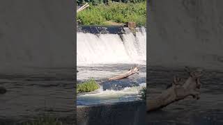 Relaxing Tumwater Falls Sounds [upl. by Anayhd]