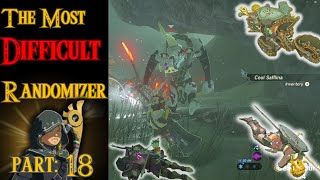 Zelda Breath of the wild Randomizer is crazy Botw Rando part 18 [upl. by Ahsennek]