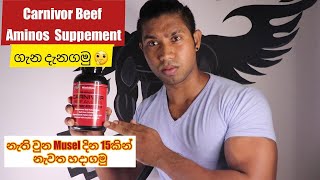 Carnivor Beef Aminos Supplement එක ගැන දැනගමු😳💪🏼  නැති වුන Musel දින 15කින් නැවත හදාගමු🌝 [upl. by Salangia]