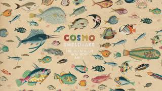 Cosmo Sheldrake  Hocking Instrumental [upl. by Nyre]