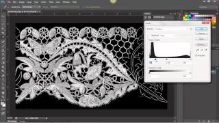 honiton lace simple image adust levels and invert [upl. by Kirit]