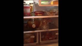 Samsung french door refrigerator review [upl. by Elberfeld]