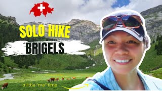 Switzerland VLOG Brigels Breil So many COWS trekherwilson solohiking swissalps [upl. by Nikolaos]