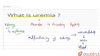 What is uremia [upl. by Maxia]