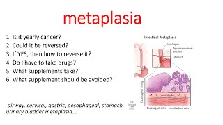 METAPLASIA Metaplasia causes interstitial cystitis airway cervical gastrointestinal metaplasia [upl. by Cort530]