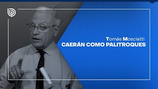 Comentario de Tomás Mosciatti Caerán como palitroques [upl. by Dorthy238]