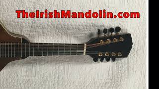 Gan Ainm 37  a jig in B Minor tabbed for mandolin and played by Aidan Crossey [upl. by Kathleen]