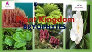 quotBRYOPHYTESquot Class 11 Biology PLANT KINGDOM [upl. by Tamanaha68]