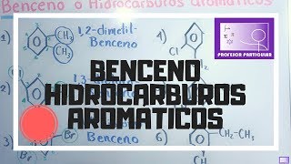 Nomenclatura benceno o hidrocarburos aromáticos  Química Orgánica [upl. by Ait587]