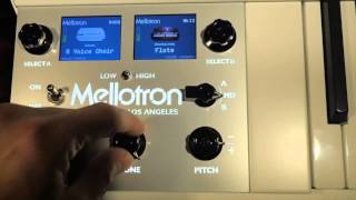 Mellotron 4000D Mini First Look [upl. by Eilyab]