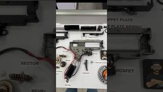 Lancer Tactical Gen 3 Diagram  Cutaway LancerTacticalTV airsoft battalionairsoftarena [upl. by Toffic949]