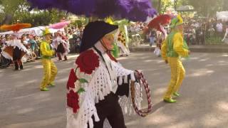 Camada Mazatecochco  Carnaval de Tlaxcala 2017  Primer Lugar Concurso Estatal [upl. by Motch503]