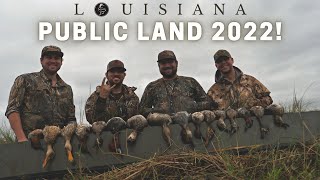 PUBLIC LAND Duck Hunting SOUTH LOUISIANA Duck Hunting Late Season Ducks 2022 [upl. by Enylodnewg]