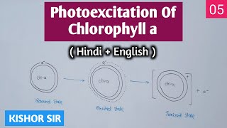 Photoexcitation of Chlorophyll a  Photosynthesis  Class 11  Bio  ZBC05  HinEng  Kishor Sir [upl. by Houghton]