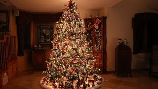 Building the Most Beautiful Christmas Tree Time Lapse [upl. by Mclain339]