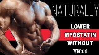 How To Lower Myostatin With OR Without YK11 sarm  Myostatin Inhibitor [upl. by Bendix]