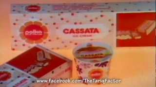 Polka Cassata Ice Cream 1988  Tariq’s PTV Classics shireenvoices [upl. by Gnud]