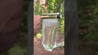 Survival Skills Essential Life Hacks for Camping and Bushcraft [upl. by Caiaphas]