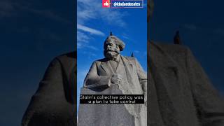 Collective policy of Stalincollectivisation [upl. by Saito]