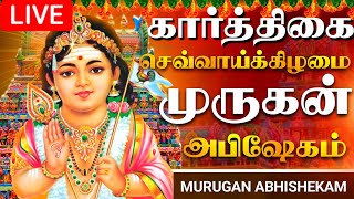 🔴LIVE செவ்வாய்க்கிழமை முருகன் அபிஷேக காட்சி பாருங்க  Murugan Abhishekam murugan abhishekamshorts [upl. by Aillil229]