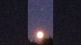 Moon Video [upl. by Vladimir]