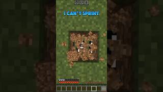 Minecraft but i cant sprint👀shortsgamingminecraft [upl. by Jillene]