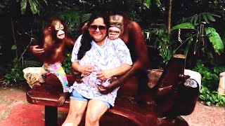 Photoshoot With Funny Orangutan  ഒറാങ്ങുട്ടാനോടൊപ്പം ഫോട്ടോയെടുക്കാം Safari world Bangkok Thailand [upl. by Onitsoga443]