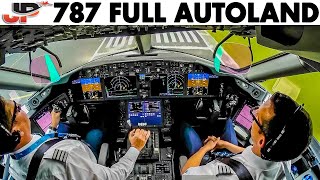 Boeing 787 AUTOLAND in Brussels  Cockpit Views [upl. by Amelia53]