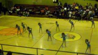 Memphis Sizzlers Majorette team at Whitehaven High [upl. by Meehyrb528]