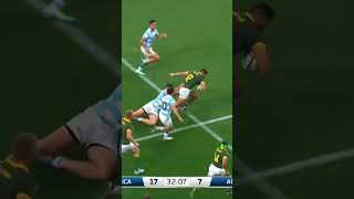 Springboks Dominate Argentina to Win Rugby Championship 🏉🇿🇦 [upl. by Lebana383]