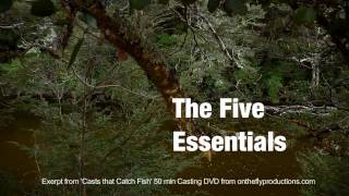 Fly Casting Bill Gammels 5 Essentials of Fly casting an introduction [upl. by Erodoeht]