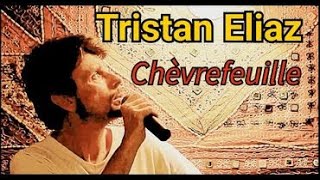 Tristan Eliaz Chevrefeuille que tu es loin quot [upl. by Ennagroeg]