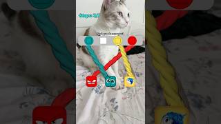 Minha gata é fera 😂 gamefilter cat filter filterchallenge catlover gatos shortsvideo [upl. by Riay]