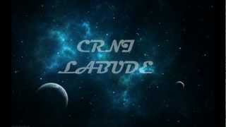 Dzenan Loncarevic 2013  Crni Labude OFFICIAL HQ LYRIC [upl. by Ltsyrk40]