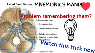 PAIRED DURAL VENOUS SINUSESSelf made mnemonics [upl. by Abibah]