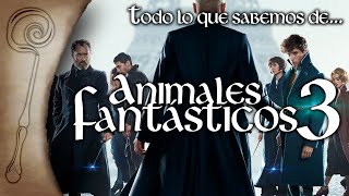 ANIMALES FANTÁSTICOS 3 Todo lo que se sabe de la Película y su Producción [upl. by Rettig]