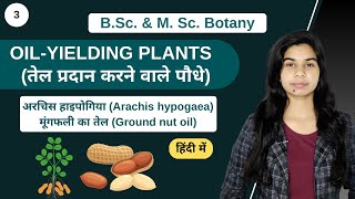 Economic Botany  OILYIELDING PLANTS  मूंगफली का तेल Ground nut oil  हिंदी में  Botany [upl. by Liba]