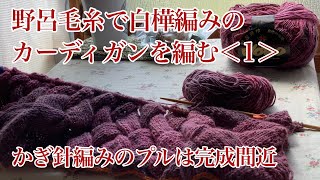 編み物とおしゃべりと【69】アラカン占い師の編み物ライフ〜野呂毛糸で編むジャケット風カーディガン（１）〜かぎ針プルは完成間近 [upl. by Sixla]