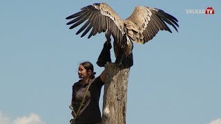 Greifvogelwarte Riegersburg [upl. by Joab]