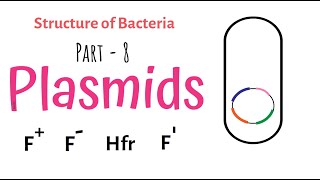 Structure of Bacteria  Part 8  Plasmid [upl. by Stets]