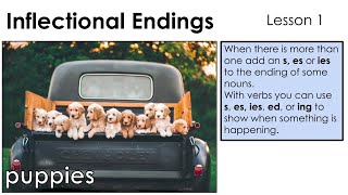 Inflected Endings s es ies  Lesson 1 [upl. by Ecnerolf689]