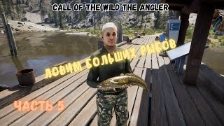 ЛОВИМ БОЛЬШИХ РЫБОВ  Call of the Wild Angler™ PC 2022 [upl. by Greenleaf]