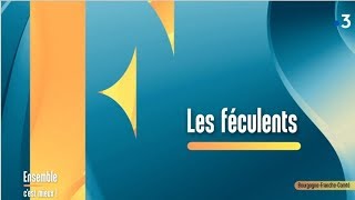 Les féculents avec une diététiciennenutritionniste  Ensemble cest mieux [upl. by Ert]