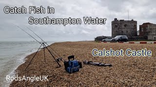 Catch Fish in Southampton Water CALSHOT CASTLE [upl. by Uttasta623]