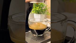 Espresso flow at home with Flair pro 2 [upl. by Nibbs574]