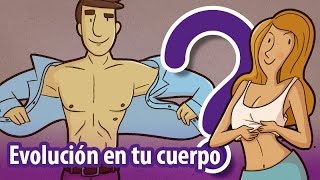 12 vestigios evolutivos ¡en tu cuerpo [upl. by Eldwen]