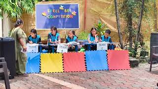 Grade  6  Spell Bee Competition 2024  Credible World School amp Kidzee Pithampur [upl. by Aehtela881]