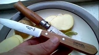 Opinel 112 Kitchen Paring Knife INOX v Carbon Steel Comparison [upl. by Oahc537]