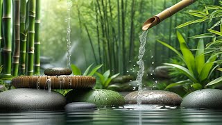 Relaxing Piano Music amp Water Sounds 247  Ideal for Stress Relief and Healing  Money Caller [upl. by Benji623]